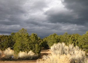 NM landscape