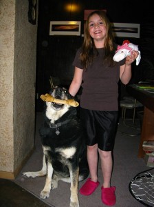 the fins were cardboard!