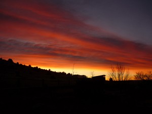 casa de William and Ginny, Saturday evening