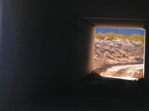 this goes under HWY 2. Chele thought the framing was cinematic.