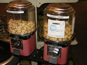 dog treat dispensers!