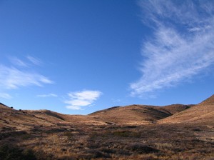 tiny house in big hills