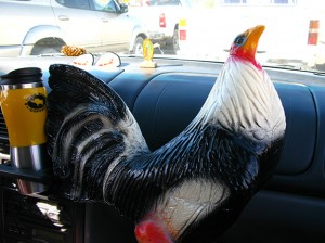 wha? what just happened?