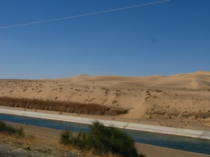 crystal blue water in the acequia